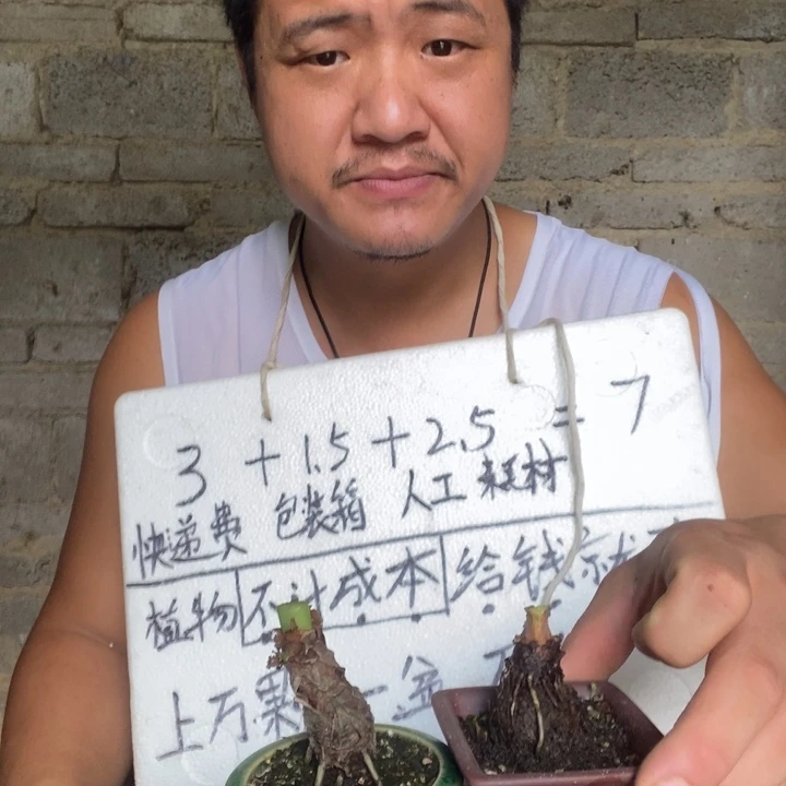 退款拉黑一物一拍377