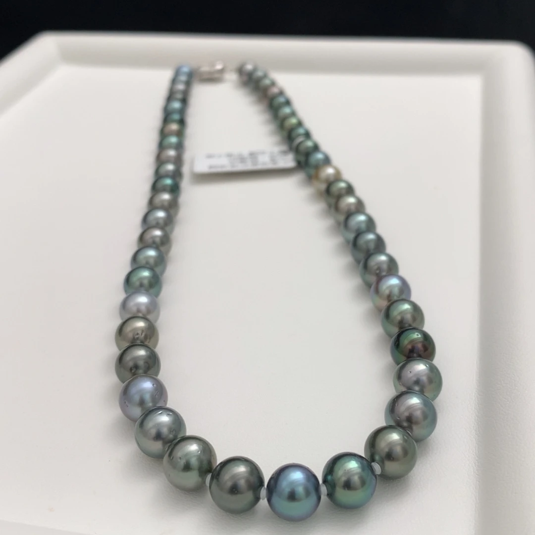 颈饰海水珍珠未镶嵌8.1-9.1mm黑珍珠项链
