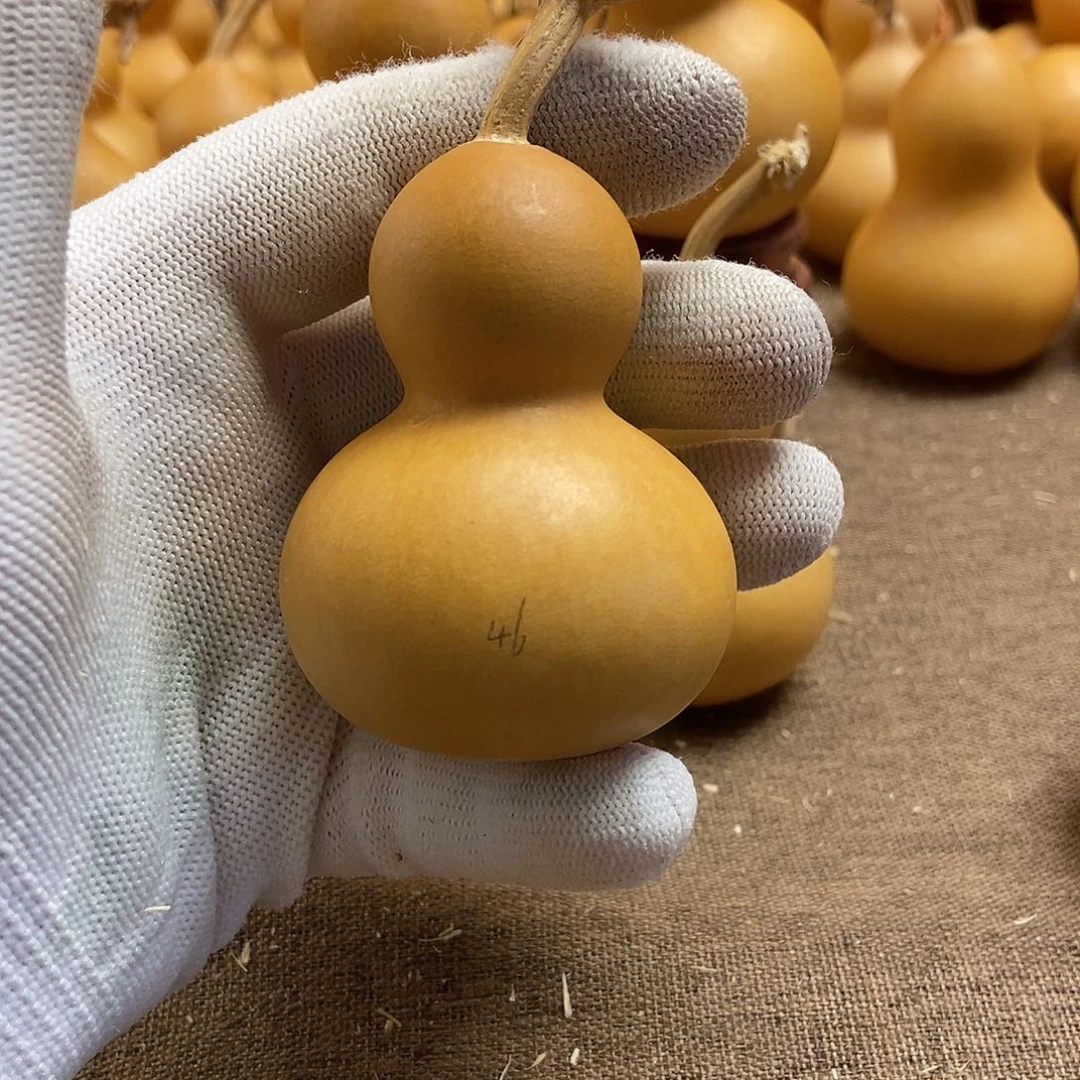 文玩葫芦 完美主义者 慎拍46