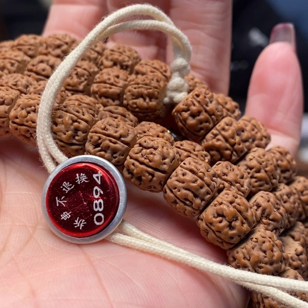 ****君菩提籽类藏切盘龙