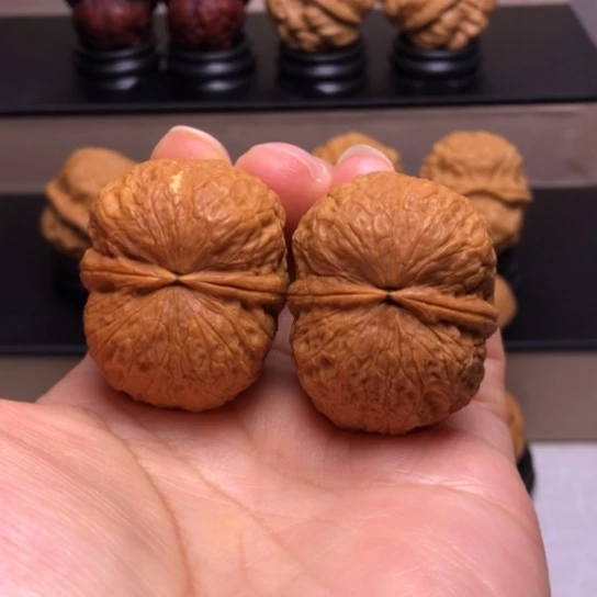 文玩核桃把件鹦鹉元宝23