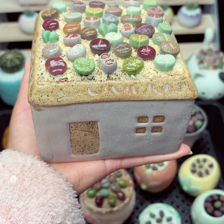 6022零下地区记得拍保温箱