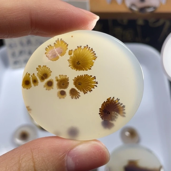 玛瑙/玉髓未镶嵌牌子