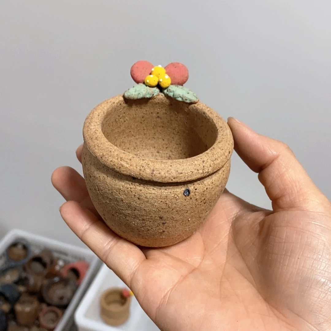 拍5送一个小礼物