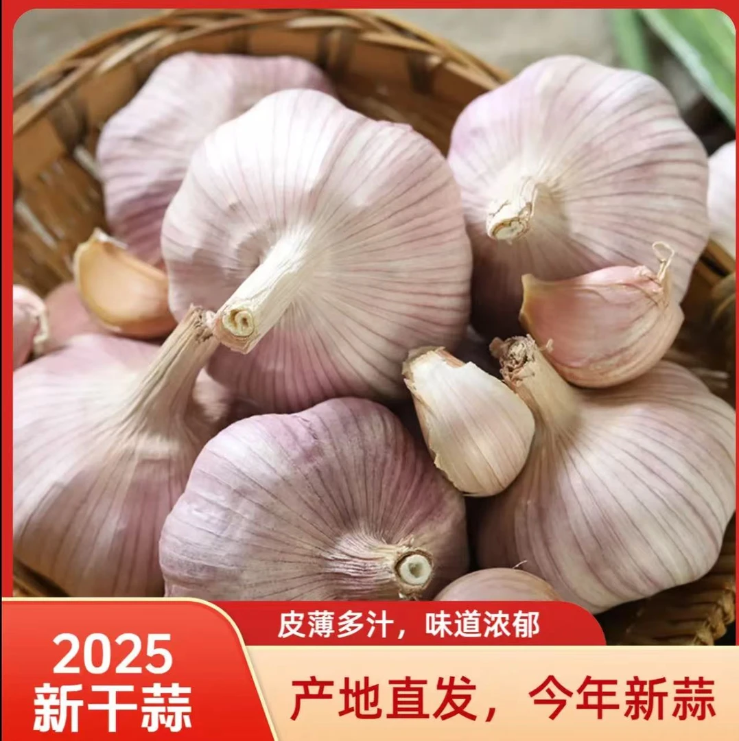 正宗紫皮大蒜新鲜干蒜农产品生鲜特产