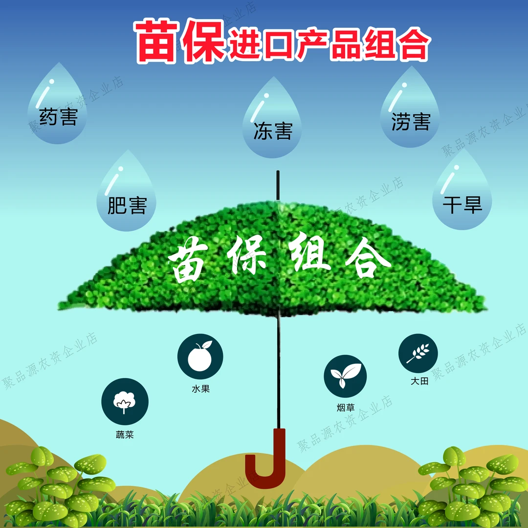 【苗保进口提苗组合】专门解决冻害药害肥害机械损伤快速恢复生长