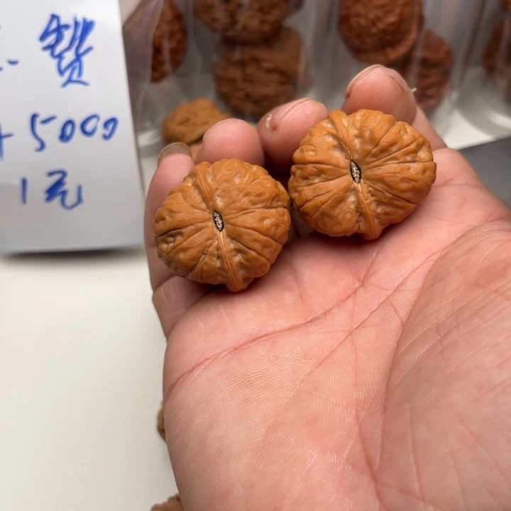 大叶紫檀（黑酸枝木类）