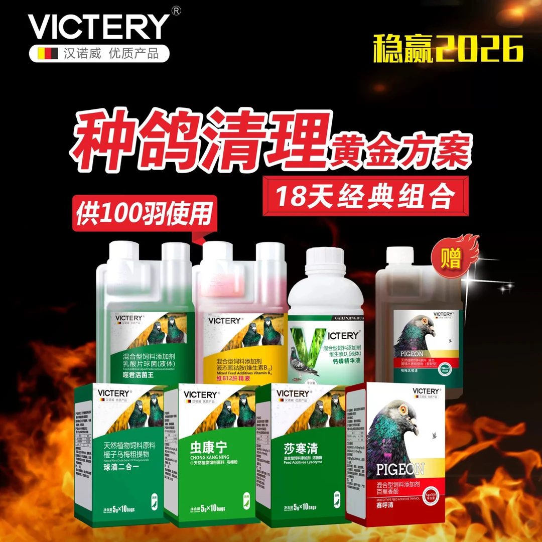 汉诺威种鸽清理套餐鸽子体内虫球虫毛滴虫沙门氏菌呼吸道水便绿便