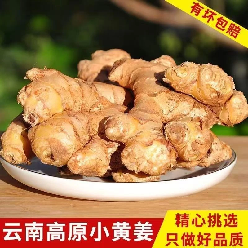 正宗云南小黄姜老姜生姜土姜原产地农家自种现挖现发