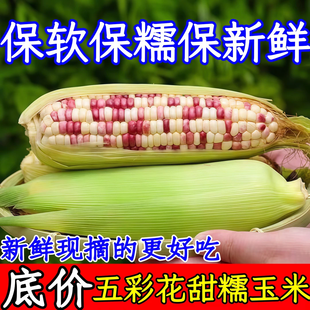 【农佳鲜果专属定向链接】非转基因-新鲜现摘,香甜软糯