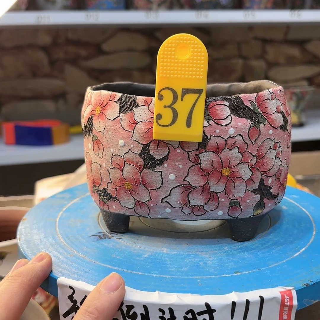 缸我**育哈哈哈哈哈哈哈哈哈哈哈哈