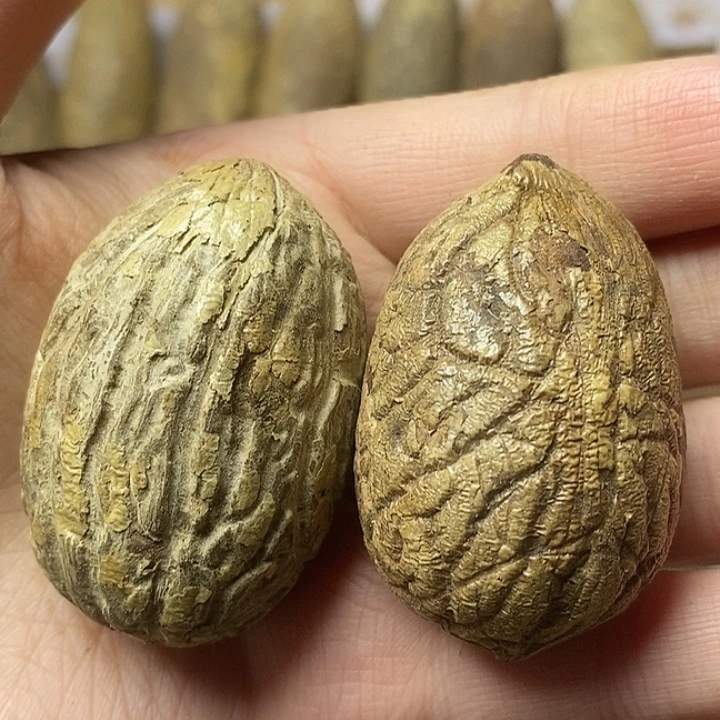 *****吊坠千眼菩提菩提
