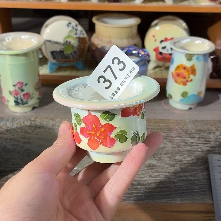 炫彩开播福利花盆花盆花盆