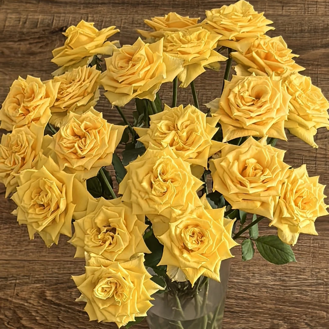 锦瑟年华玫瑰18支+2支防损 斗南顺丰直发