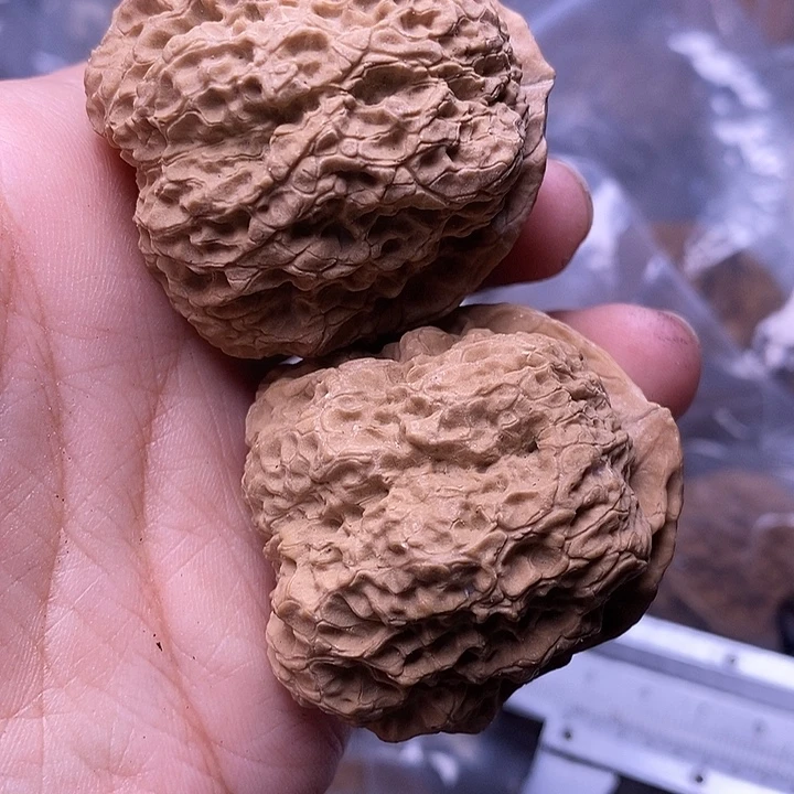 把件文玩核桃   76