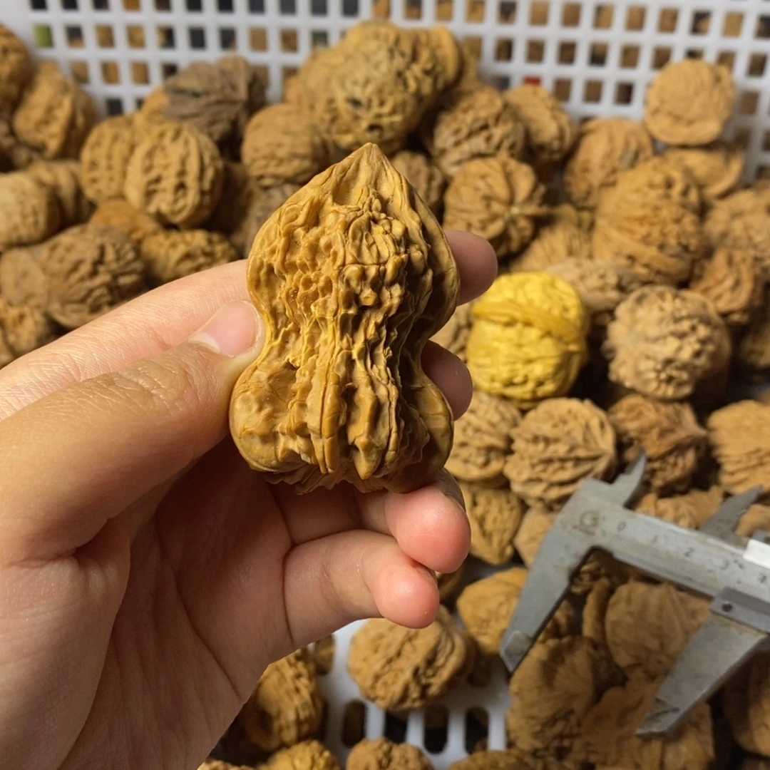 大***闪大叶紫檀（黑酸枝木类）