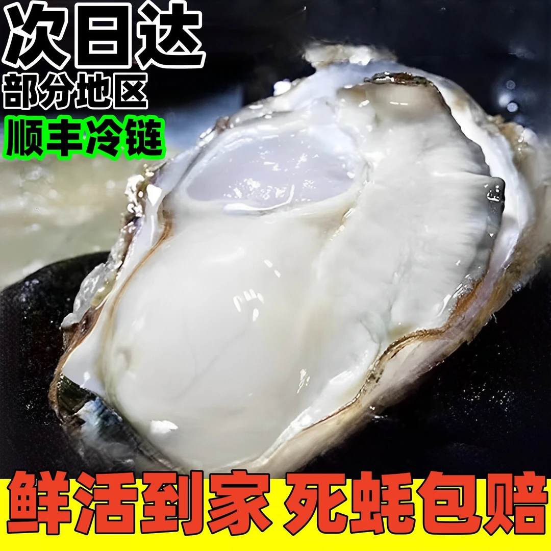【顺丰包邮】 生蚝鲜活牡蛎新鲜大海蛎子烧烤海鲜水产一箱5/10斤装
