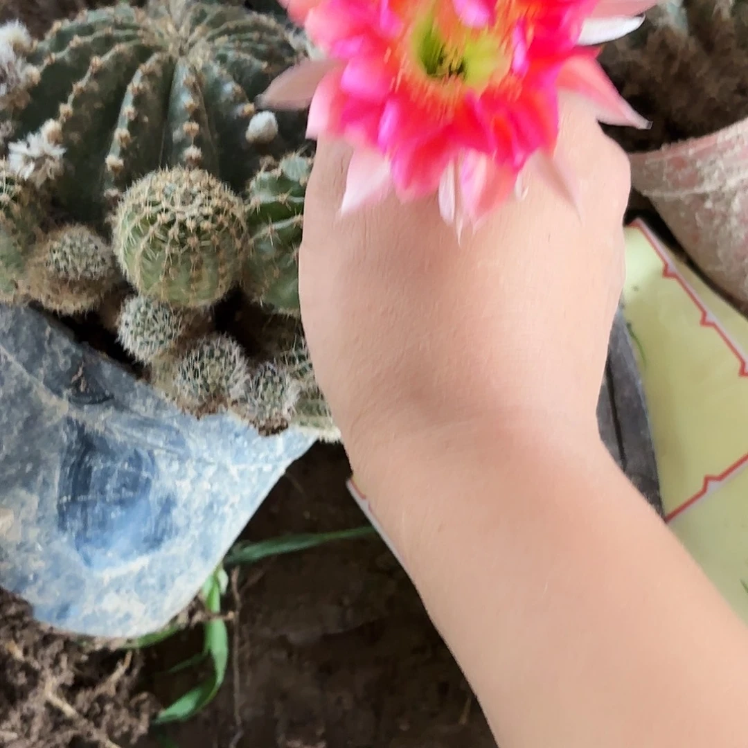 512 有根瑕疵20包邮