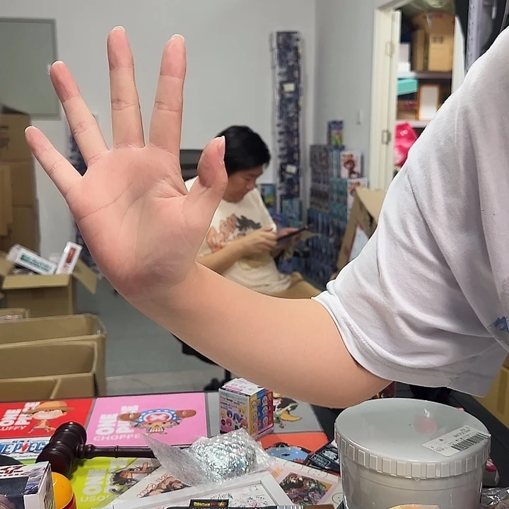 名侦探柯南五人组手办