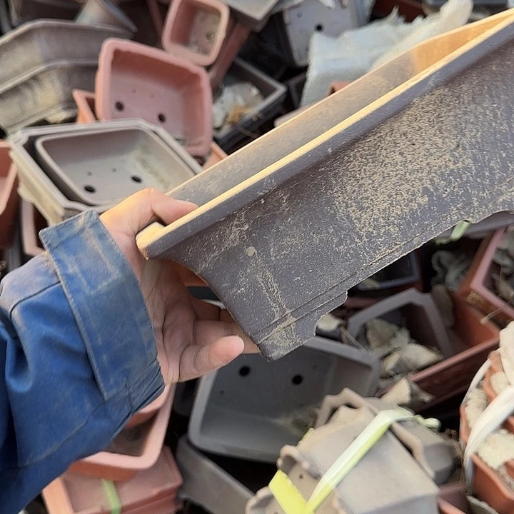 没有你也是最开心滴日子吧啊这