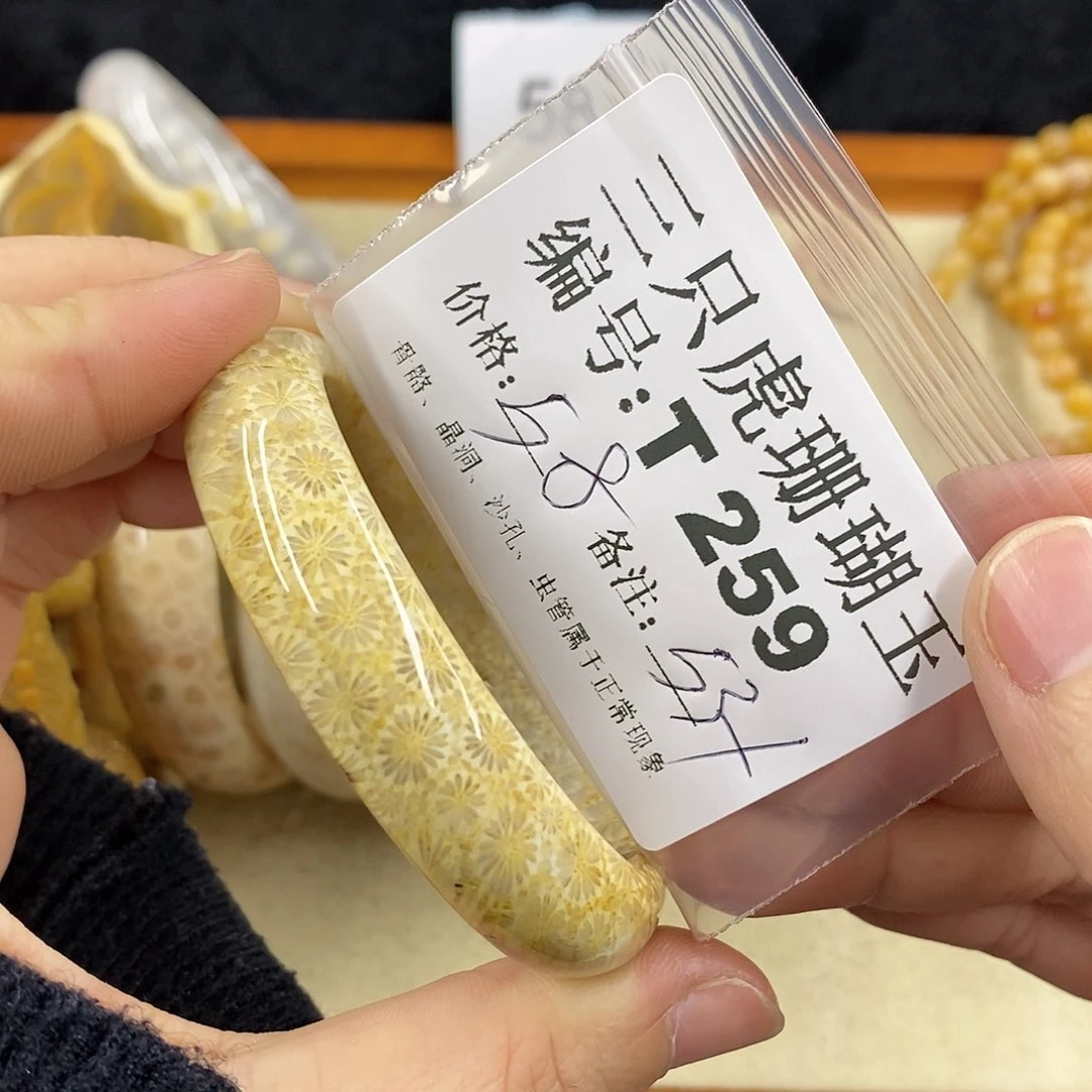 硅化珊瑚（珊瑚玉）1 未镶嵌高***动