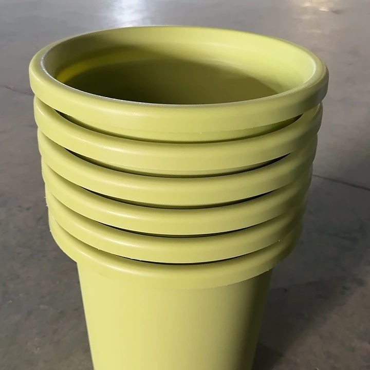 四季7号果绿无托6个特价微瑕