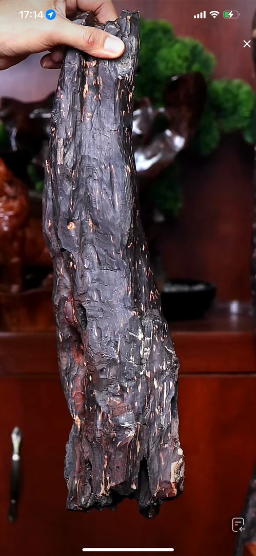 海南红降精品原材料