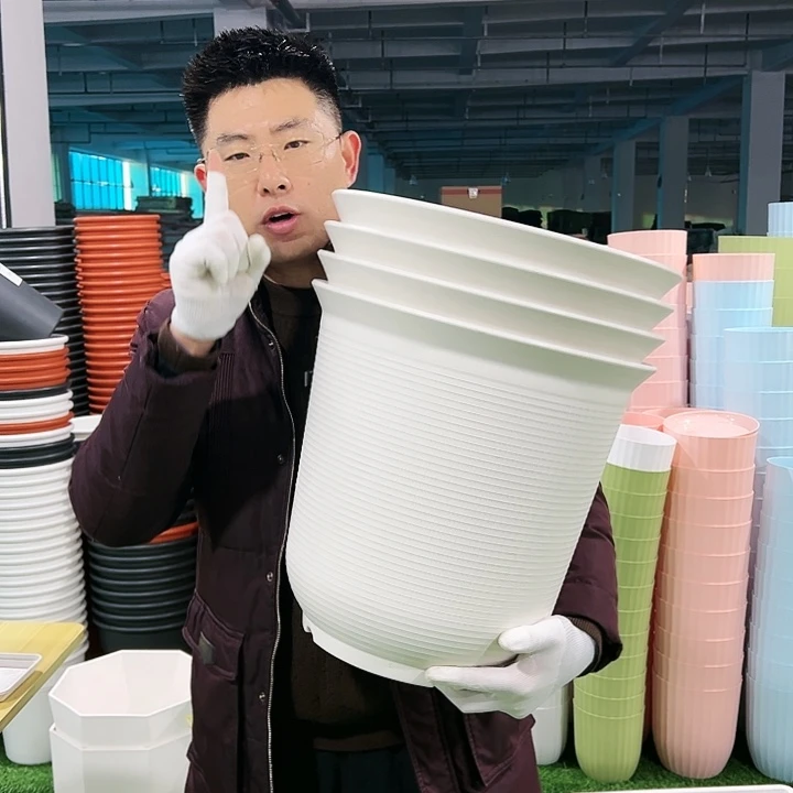 正品高陶口36高36白色3只无托