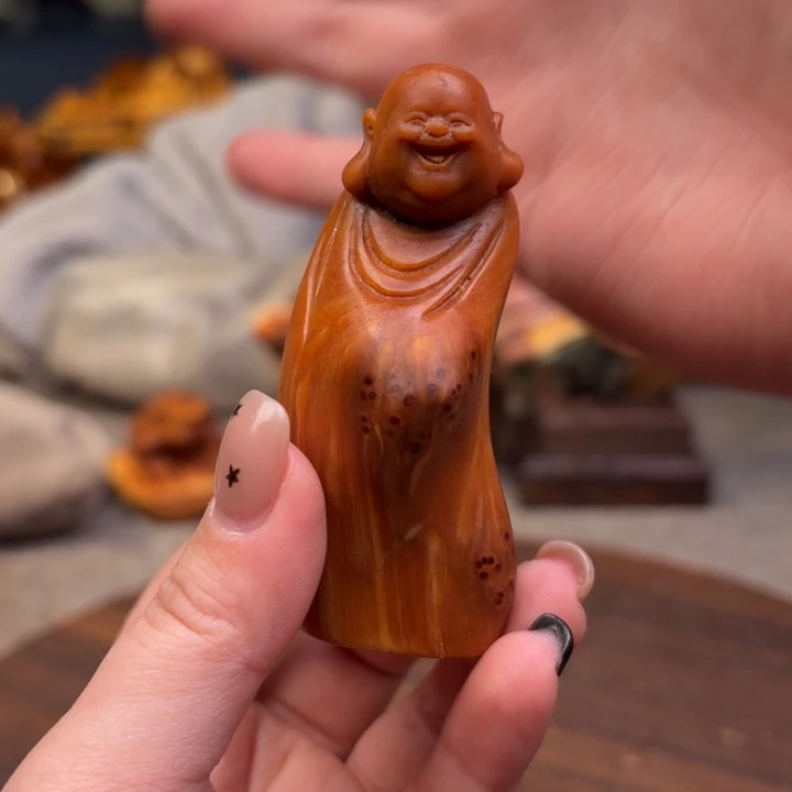 柏木（崖柏）关注一下
