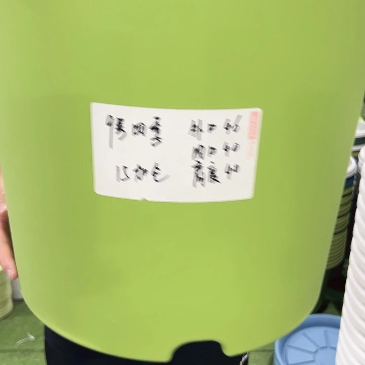 特价9号口46高40果绿色4只无托