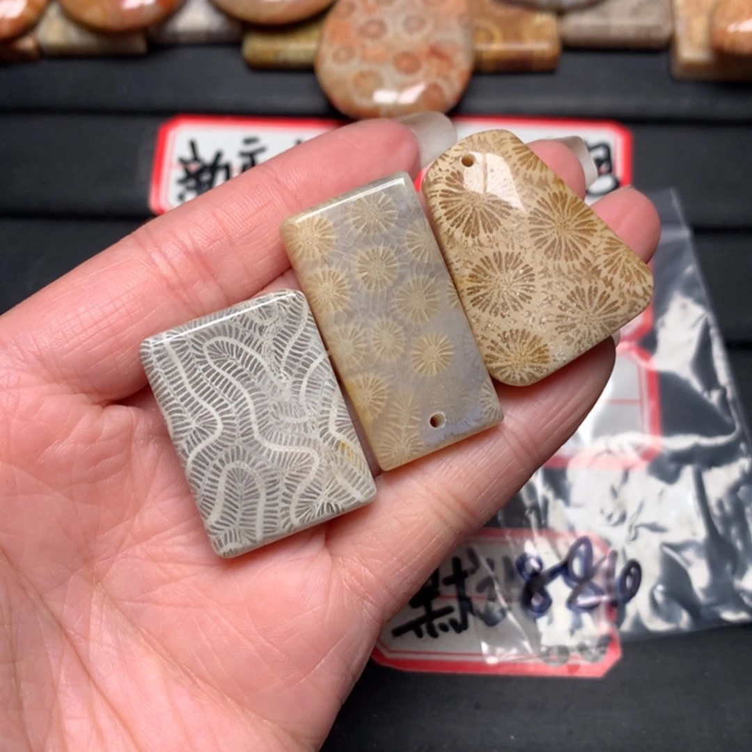 【闪购商品】硅化玉颈饰未镶嵌辰**冬