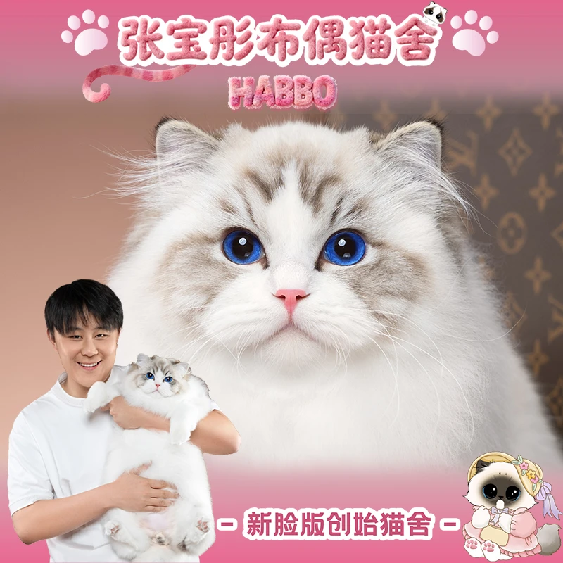张宝彤布偶猫舍-奶皮子弟弟 | 新脸版创始猫舍
