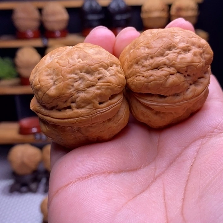 木质类云铁噬金蛤蟆头20号