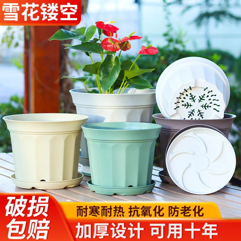 【小果汀新款】郁金香朱顶红三角梅绣球长寿花花盆控根加厚透气花盆