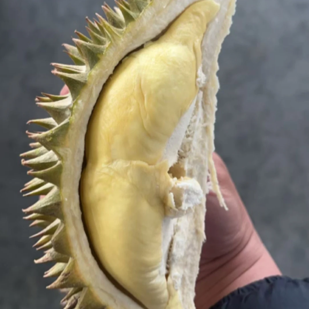 【青岛四区】2.泰国树熟金枕榴莲3-8斤，鲜榴莲核小金枕泰国金枕新鲜榴莲同城配金枕泰国