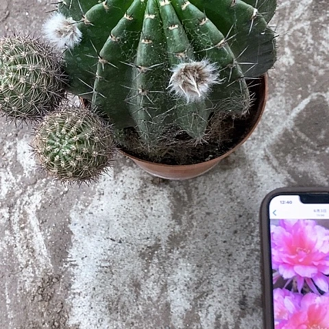 山脉，6公分左右35789