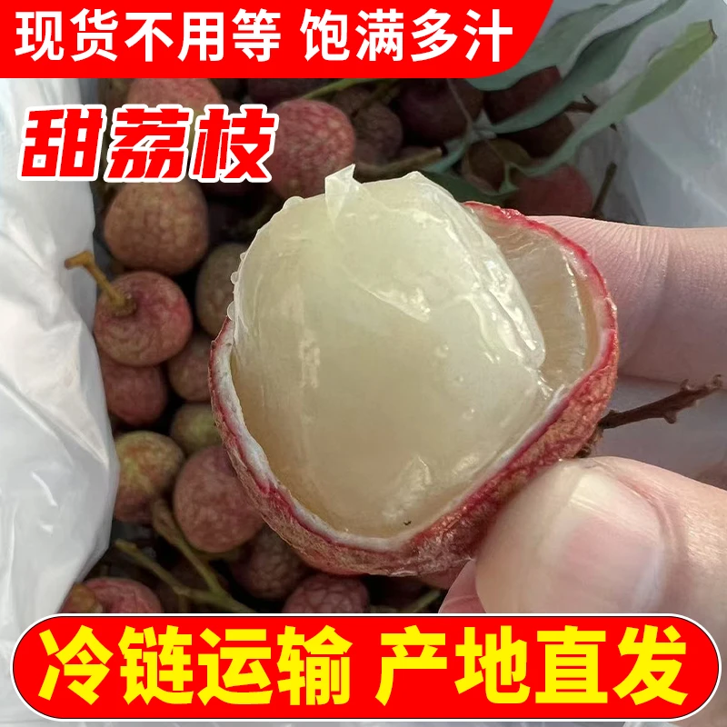 广东茂名高州荔枝新鲜桂黑味叶现摘现发水果当季多汁果园整箱包邮