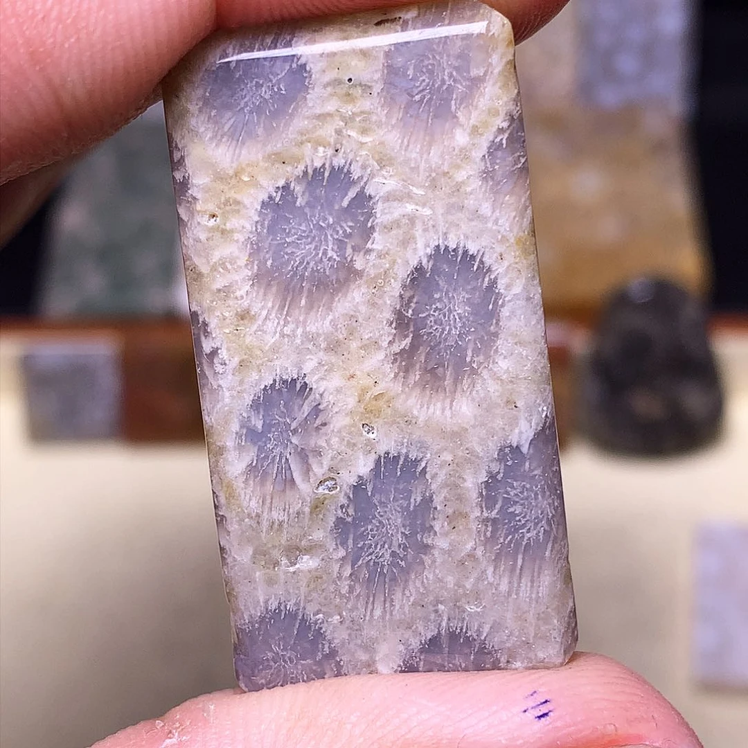 硅化玉珠宝奇石合金秦*九