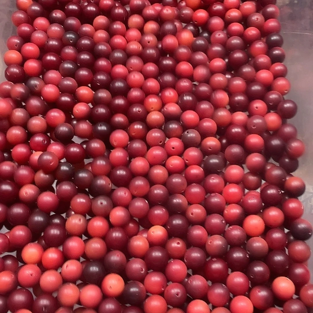 菩提根/象牙果手串120颗火山岩圆珠12尺寸