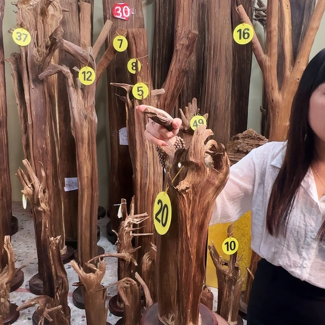 沉香沉香碎屑天然沉香原材料香料熏料