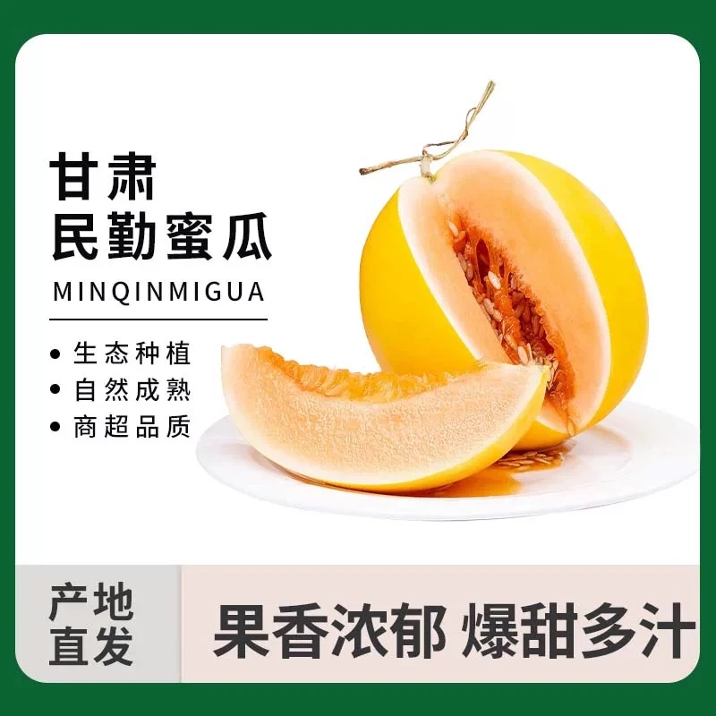 【京东包邮】甘肃民勤直发新鲜沙漠蜜瓜黄河蜜甜瓜当季水果包邮