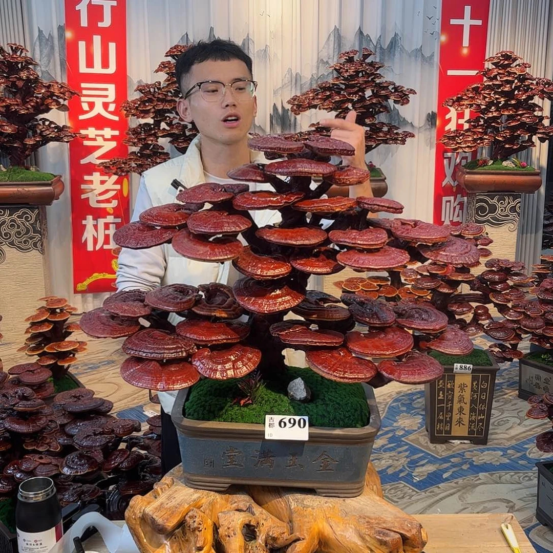 无花朵8888888888888