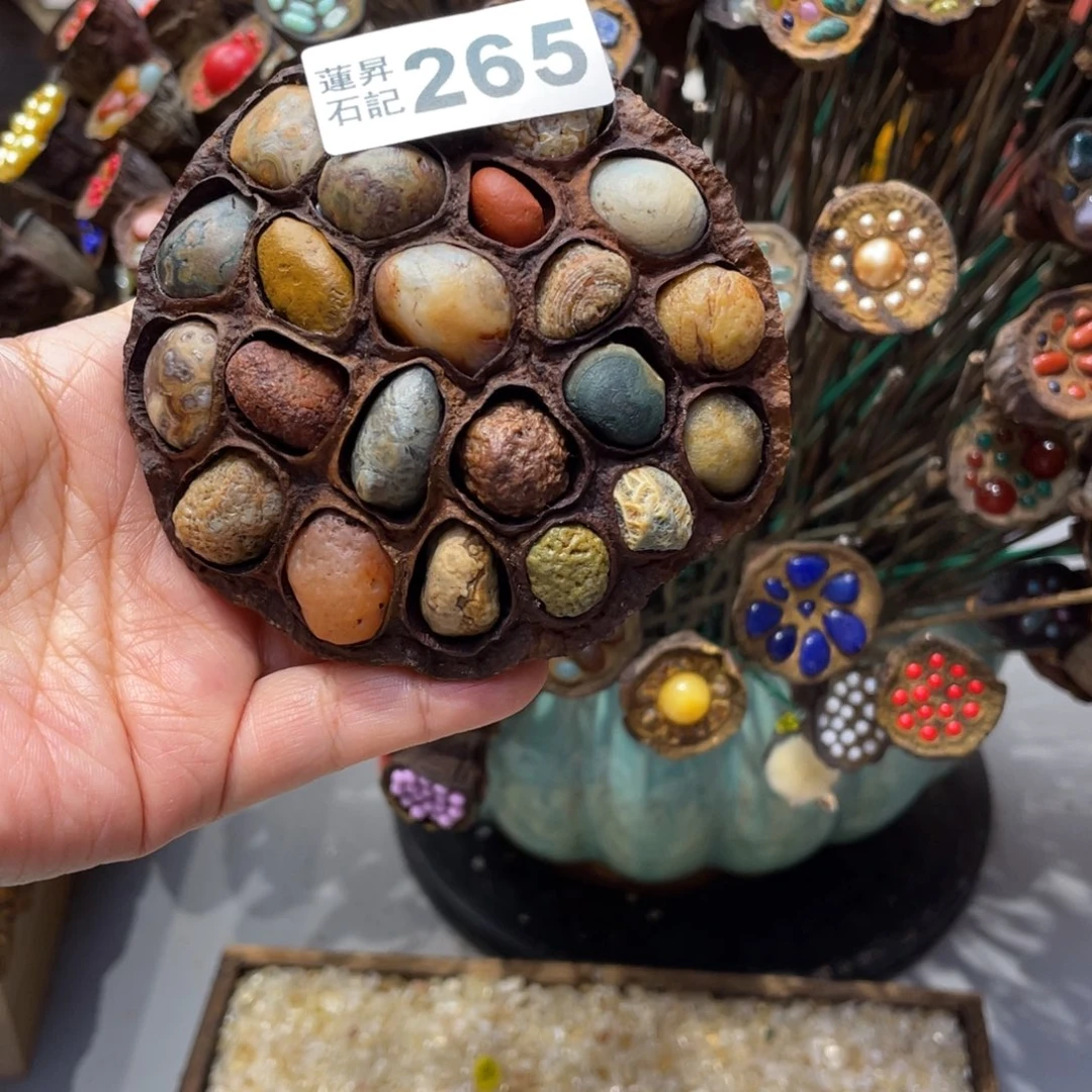 核桃木/黑胡桃（胡桃木）豆*á265