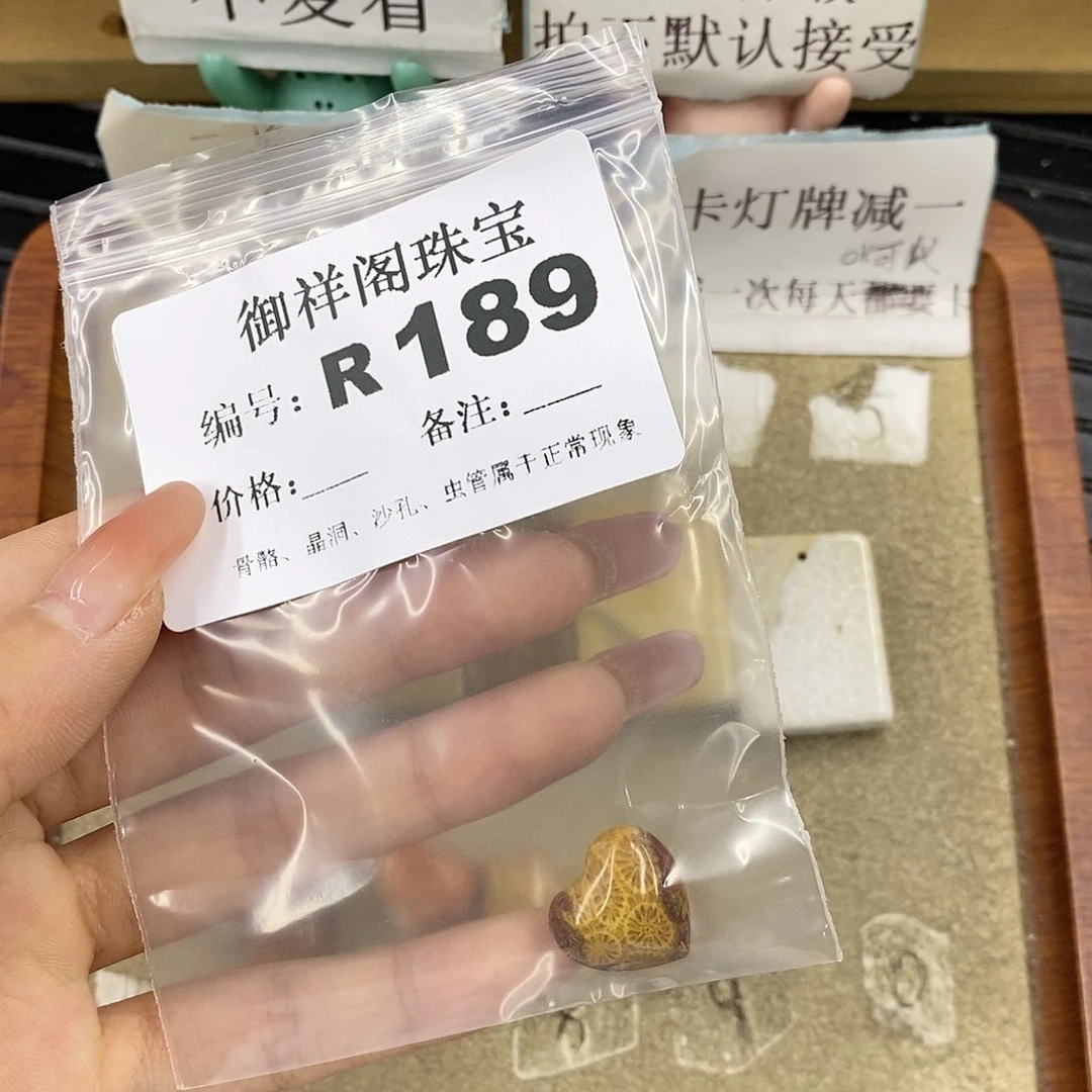 硅化珊瑚（珊瑚玉）未镶嵌颈饰秋*