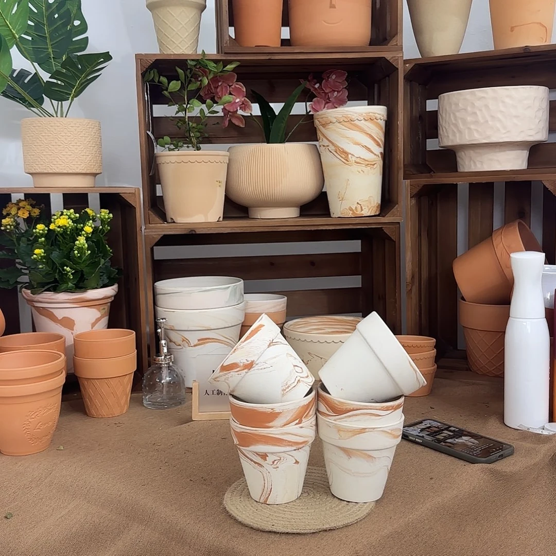 微瑕橘里橘气标准国际盆10口10高6个