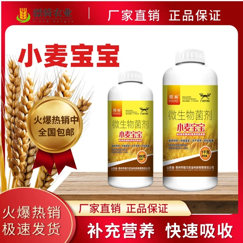 【苗苗专属】小麦专用小麦种植专用穗大粒饱生根壮苗植物叶面肥