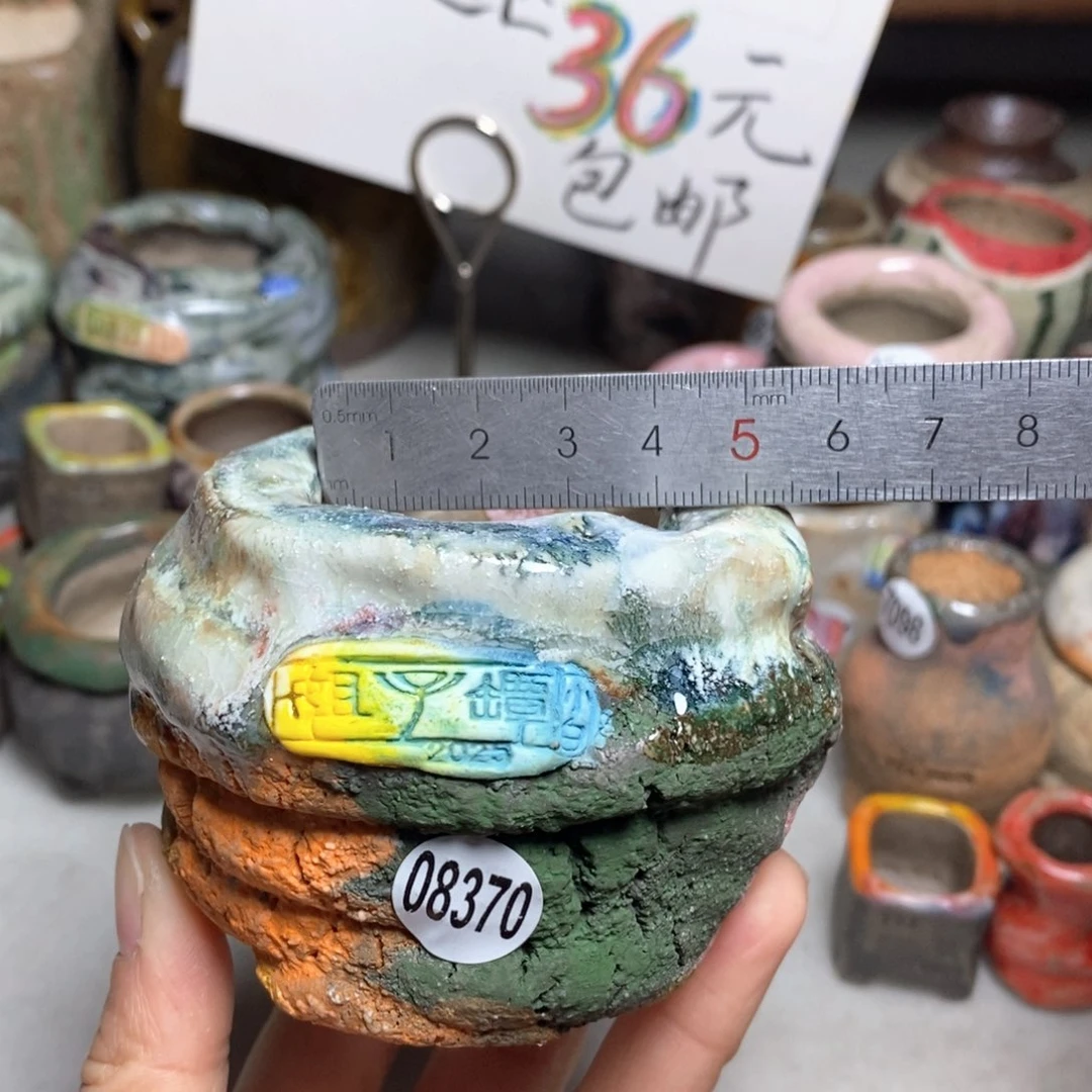 花盆拍1送一个小礼物