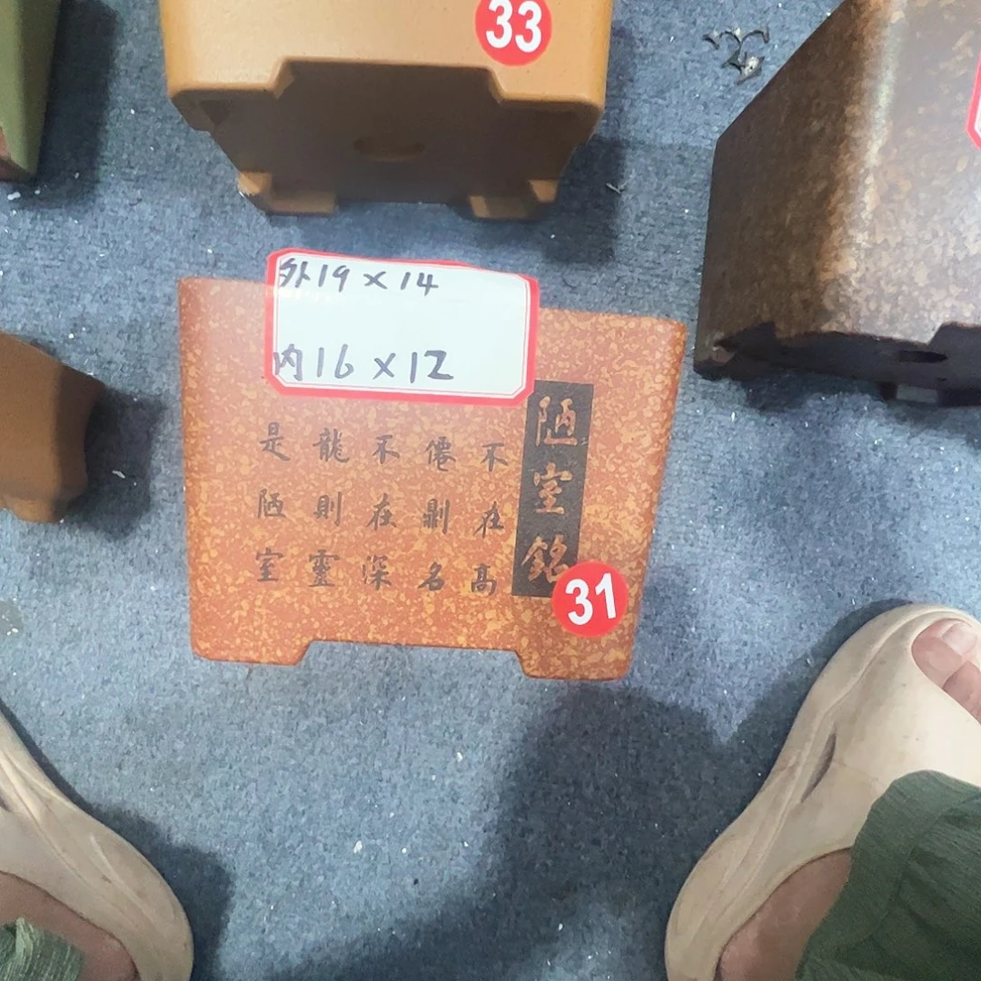 紫砂其他紫砂花盆