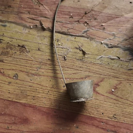 小***毅木啦啦啦啦啦啦咯莫咯