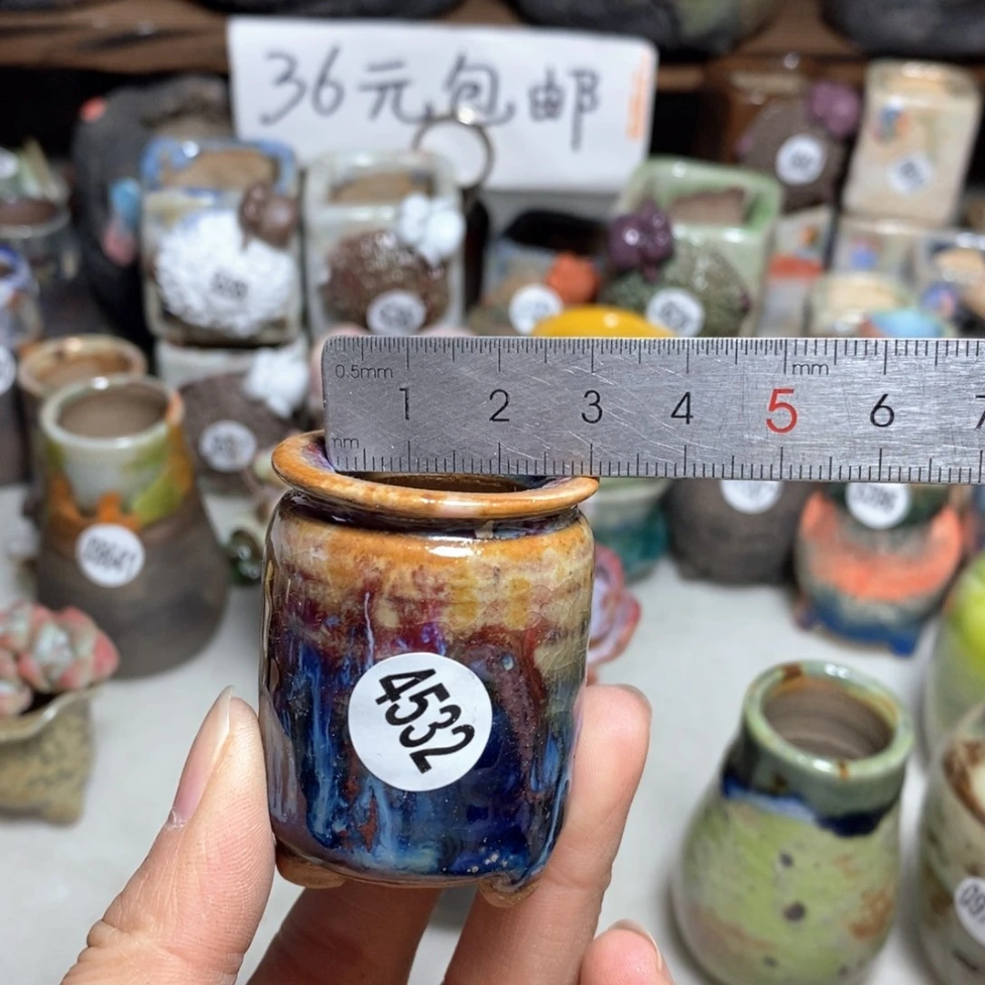 拍5送一个小礼物